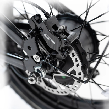 Bicicletta Cargo Elettrica a Doppio Motore